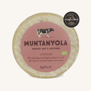 Muntanyola Lúpulus organic artisan semi-cured cow's cheese washed with beer, from Catalonia, whole piece 1,5kg
